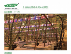 植物燈系列